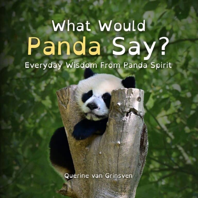 English Cover paperback front