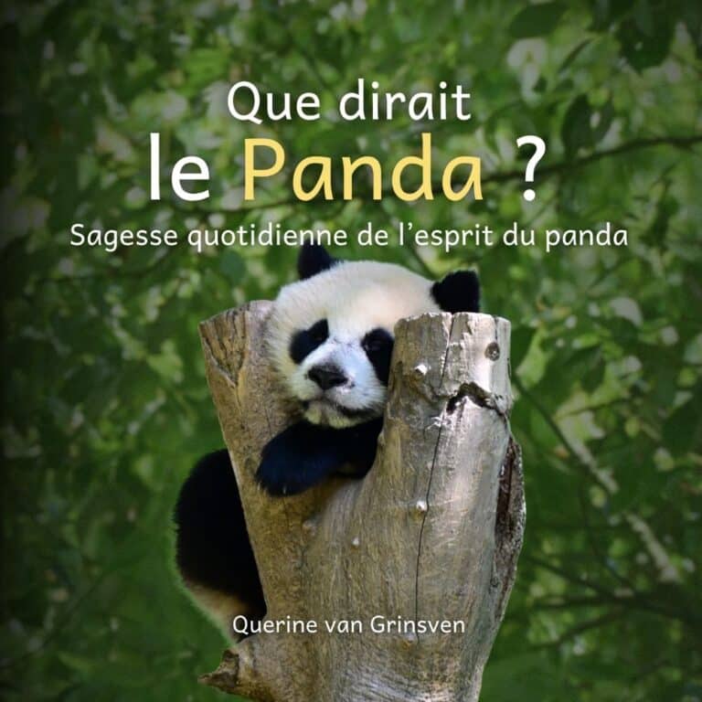 French Cover paperback Panda front