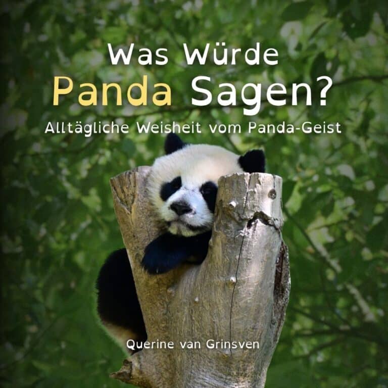 German Cover paperback Panda front