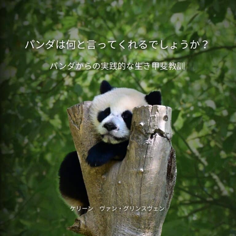 Japanese Cover paperback Panda front
