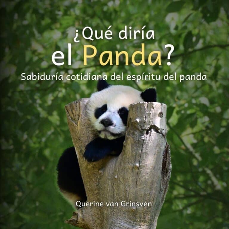 Spanish Cover paperback Panda front